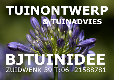 Logo BJTuinidee