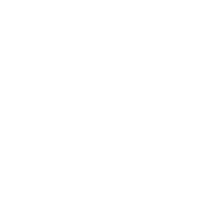Logo NXT Level